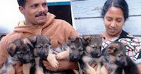 My Kennel is in Udagamandalam (Ooty)