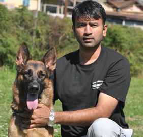 My Favorite  German Shepherds