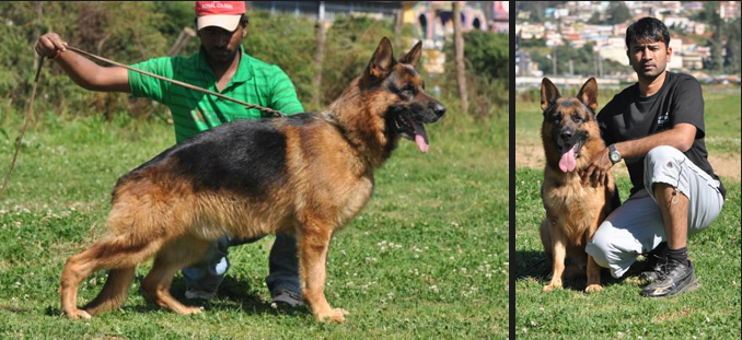 CH.ADOLF VOM KINGSLAND