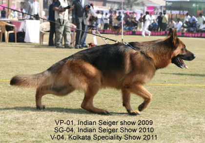 Leroy Von Der Grafenburg